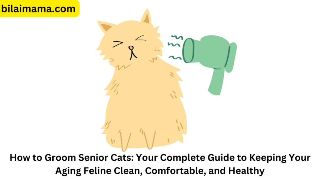 How to Groom Senior Cats: Your Complete Guide to Keeping Your Aging Feline Clean, Comfortable, and Healthy