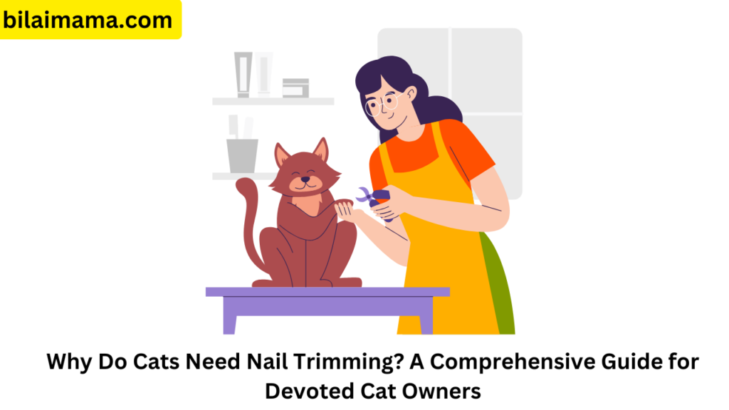 Why Do Cats Need Nail Trimming? A Comprehensive Guide for Devoted Cat Owners
