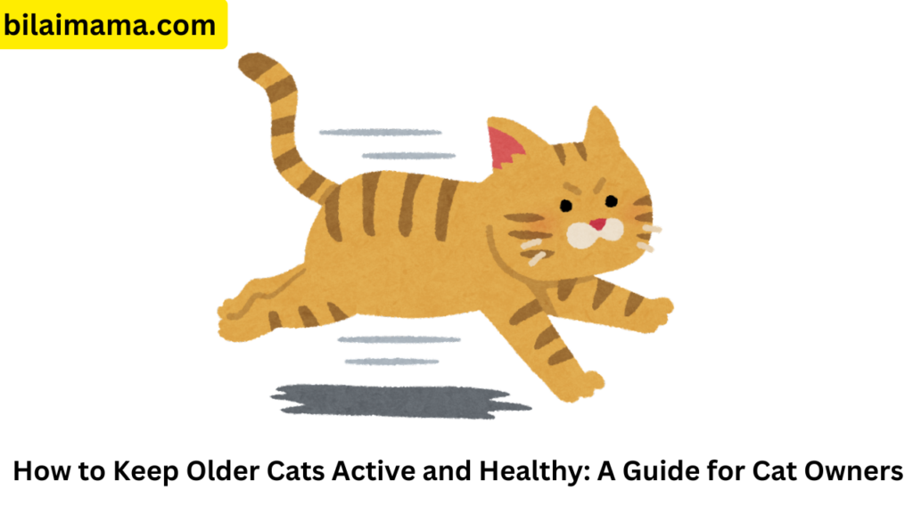 How to Keep Older Cats Active and Healthy: A Guide for Cat Owners